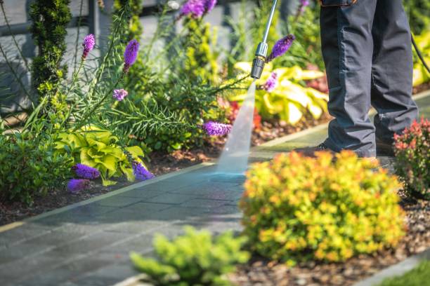 Best Residential Pressure Washing in Brushy Creek, TX