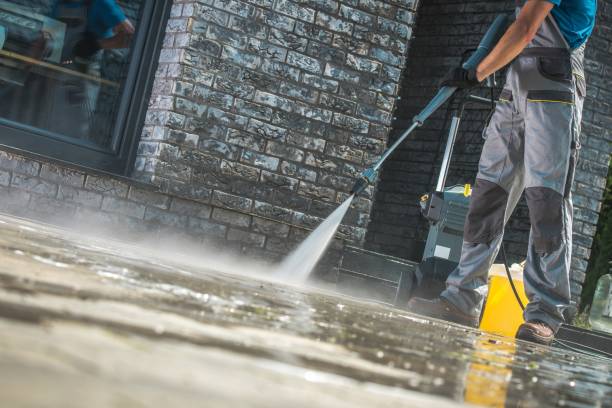 Best Vinyl Siding Pressure Washing in Brushy Creek, TX