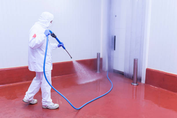 Best Warehouse Floor Cleaning in Brushy Creek, TX
