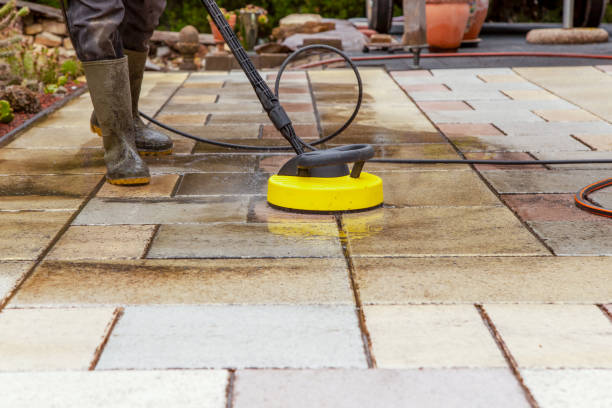 Best Roof Cleaning and Mildew Removal in Brushy Creek, TX
