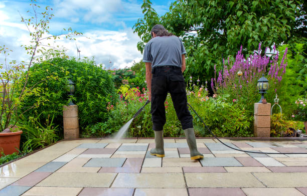 Professional Pressure Washing Services in Brushy Creek, TX